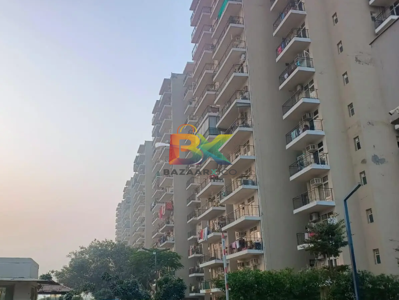 BZX Property
