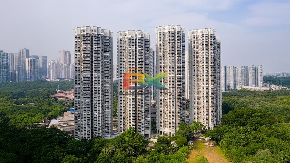 BZX Property