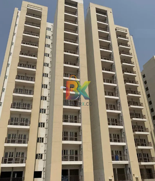 BZX Property