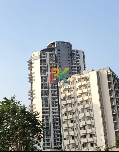 BZX Property