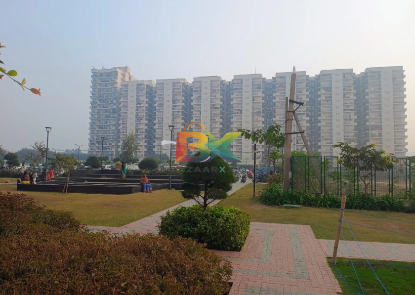 BZX Property
