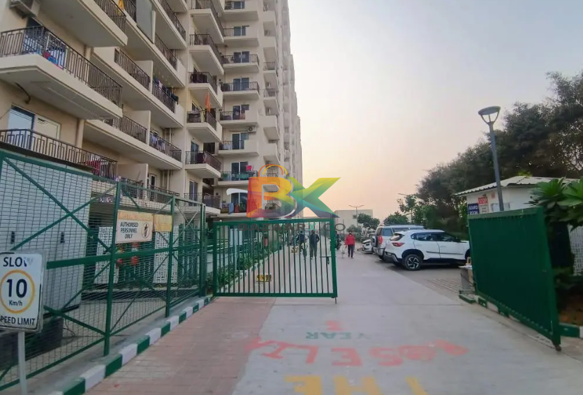 BZX Property