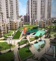 BZX Property