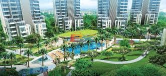 BZX Property