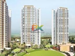 BZX Property