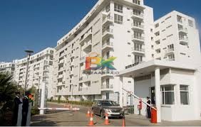 BZX Property