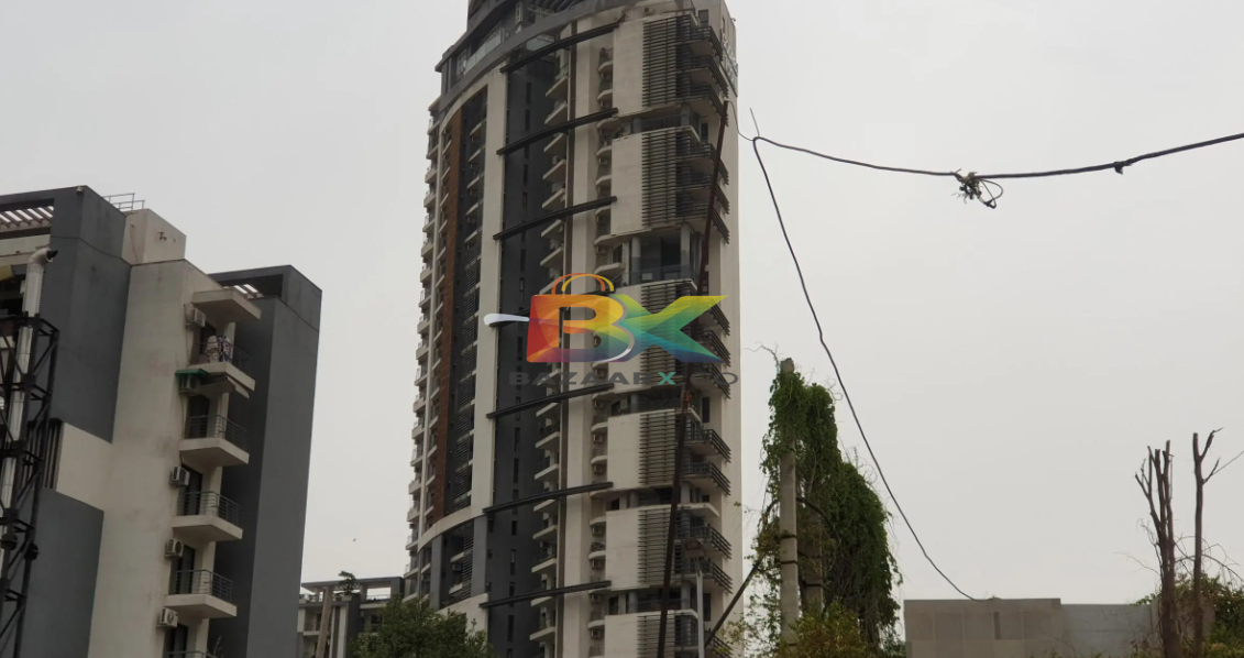BZX Property