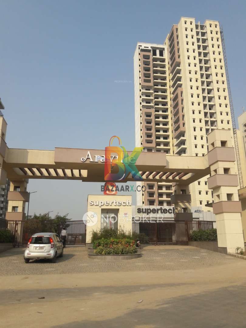 BZX Property