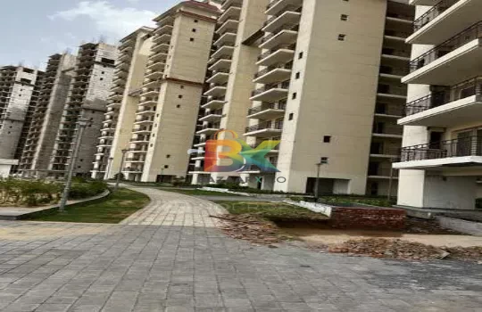 BZX Property