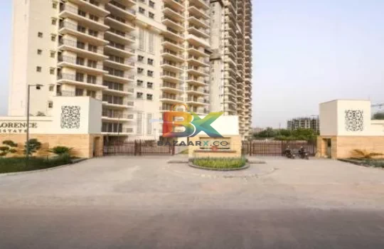 BZX Property