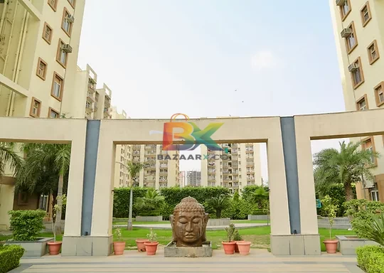 BZX Property