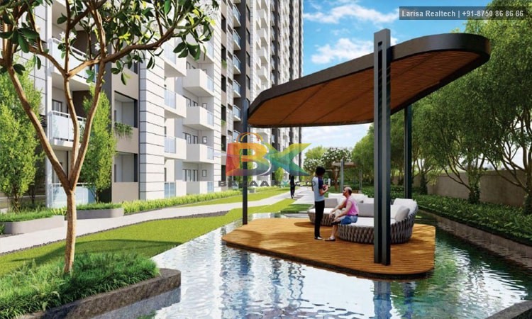 BZX Property