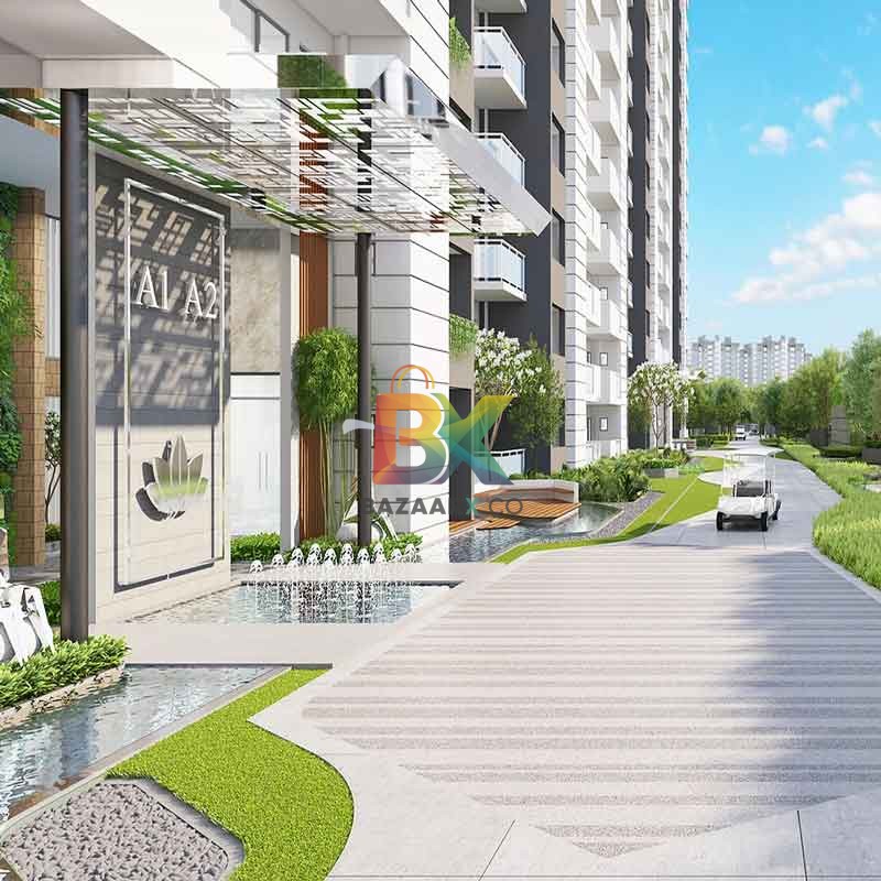 BZX Property