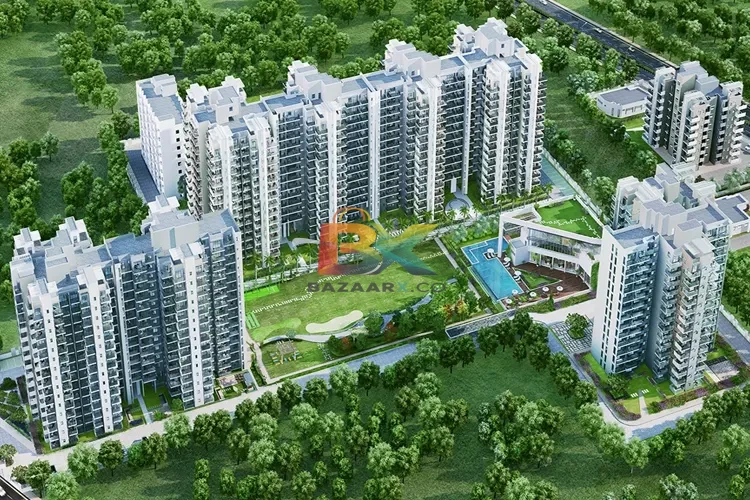 BZX Property