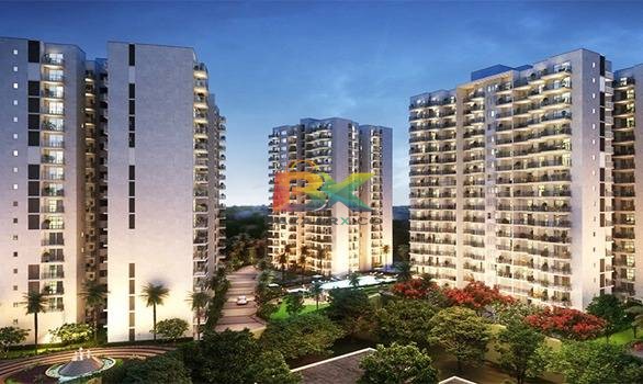 BZX Property