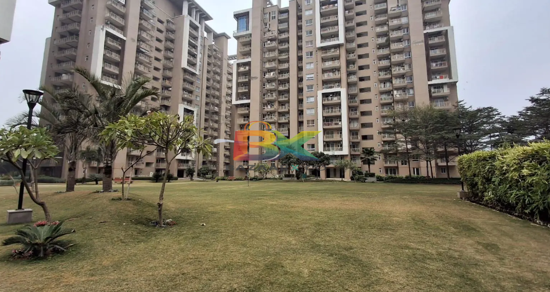 BZX Property
