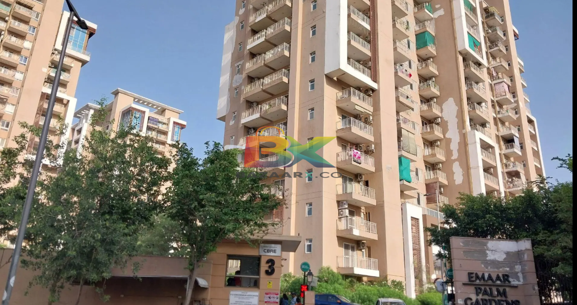 BZX Property