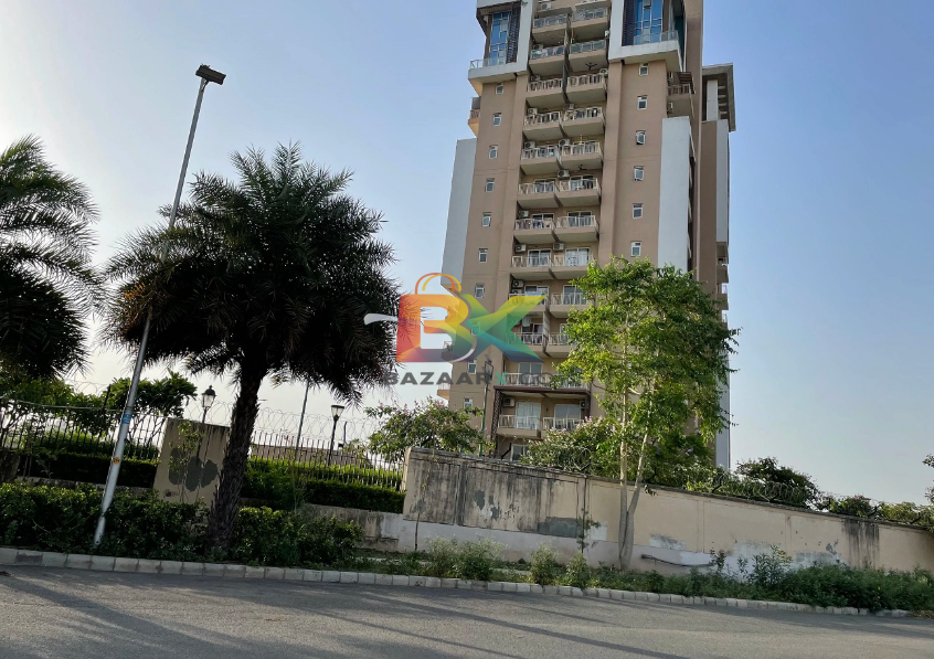 BZX Property