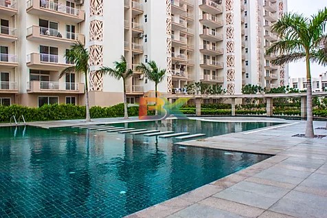 BZX Property