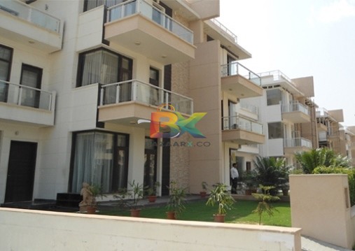 BZX Property
