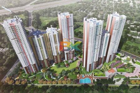 BZX Property
