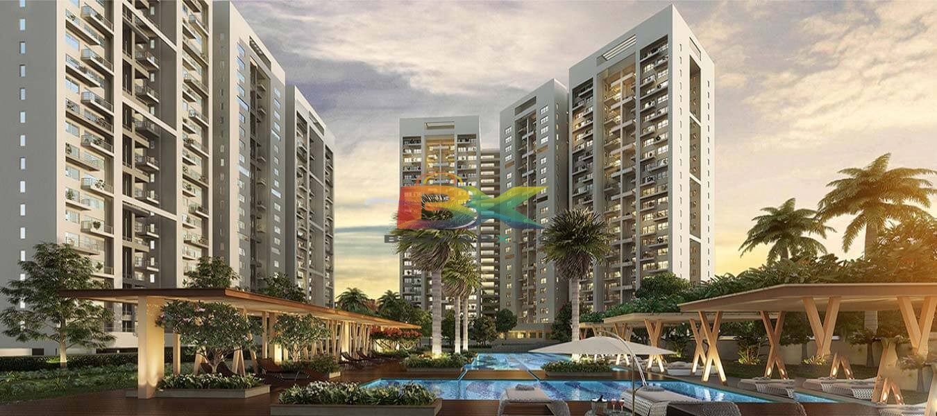 BZX Property