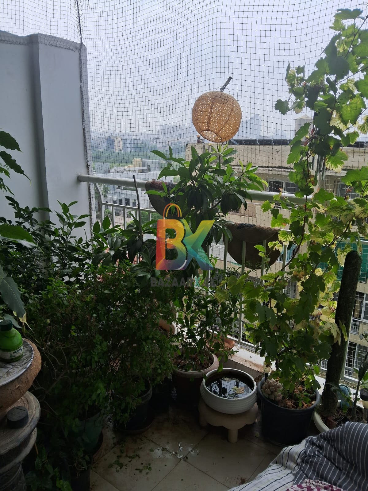 BZX Property