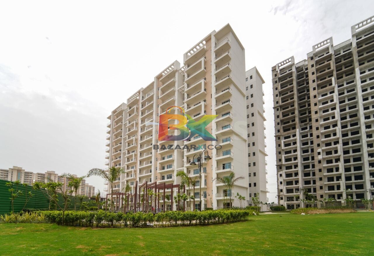 BZX Property