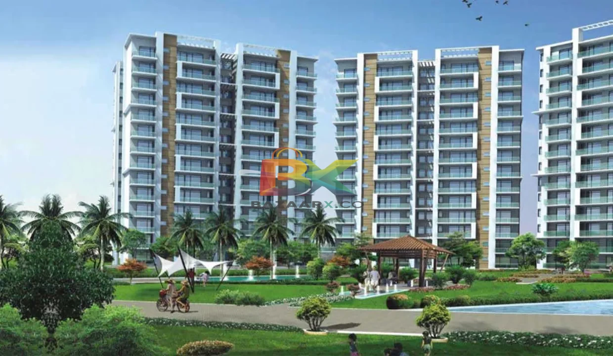 BZX Property