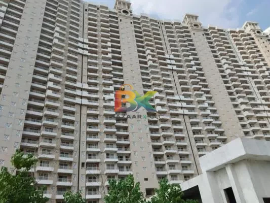 BZX Property