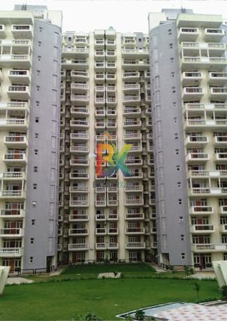 BZX Property