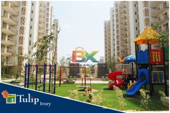 BZX Property