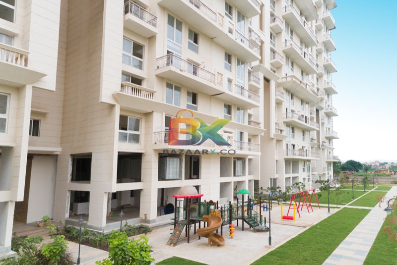 BZX Property