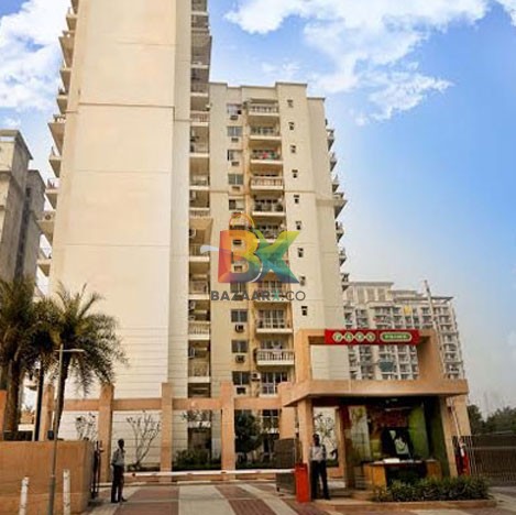 BZX Property