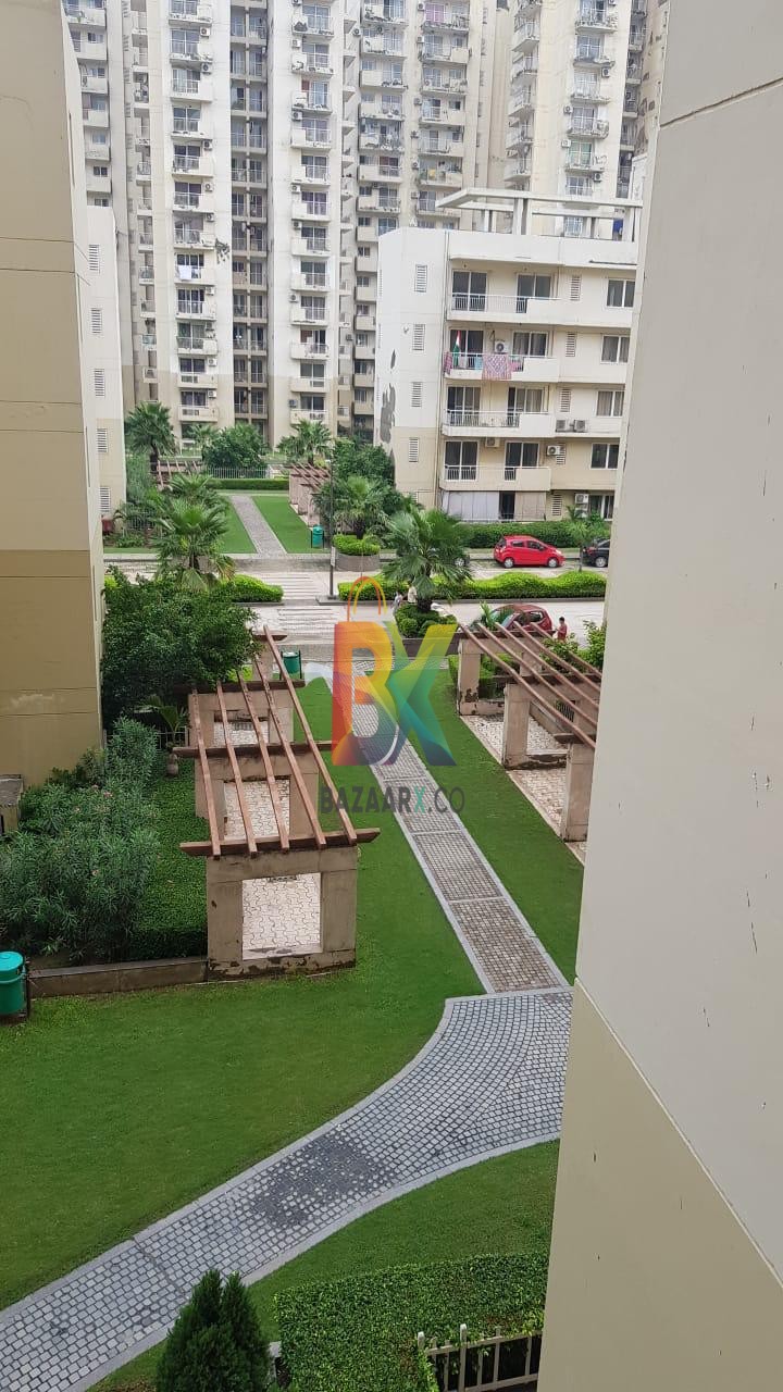BZX Property