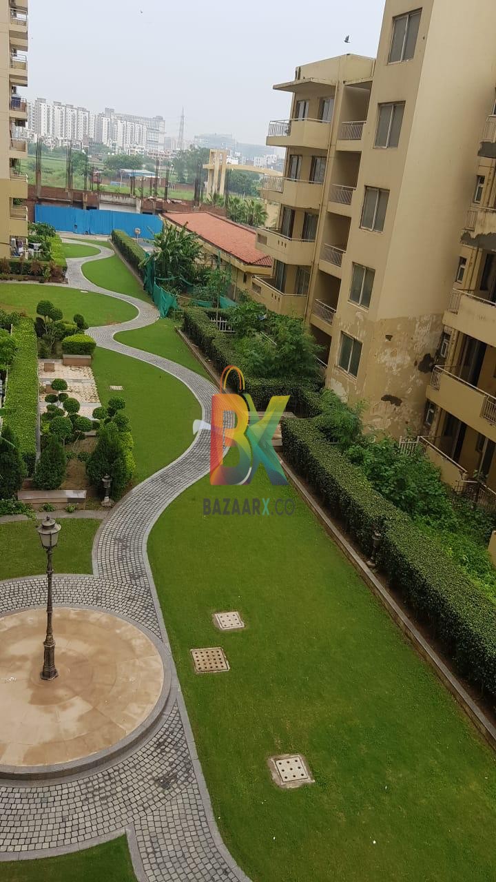 BZX Property