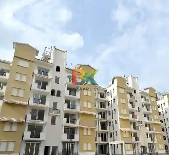 BZX Property