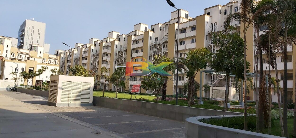 BZX Property