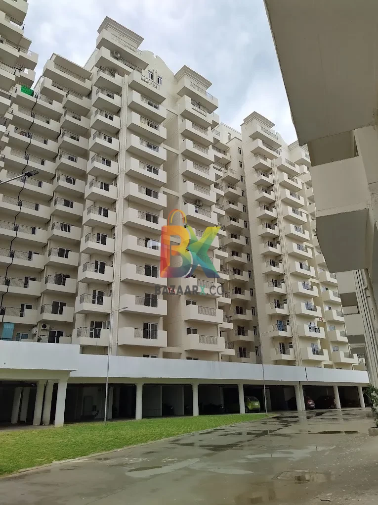 BZX Property