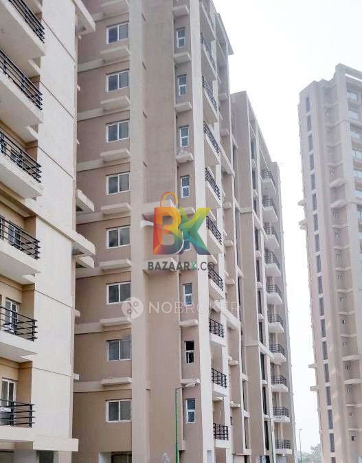 BZX Property