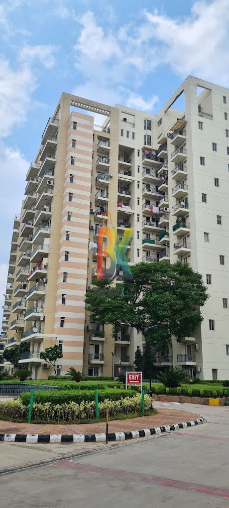 BZX Property