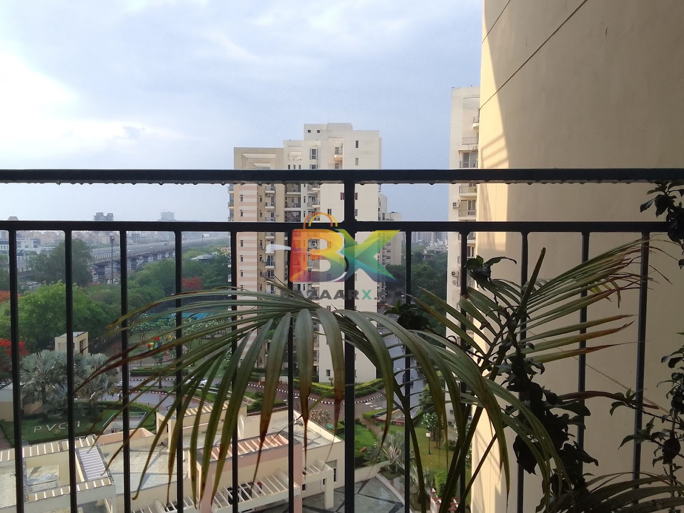 BZX Property