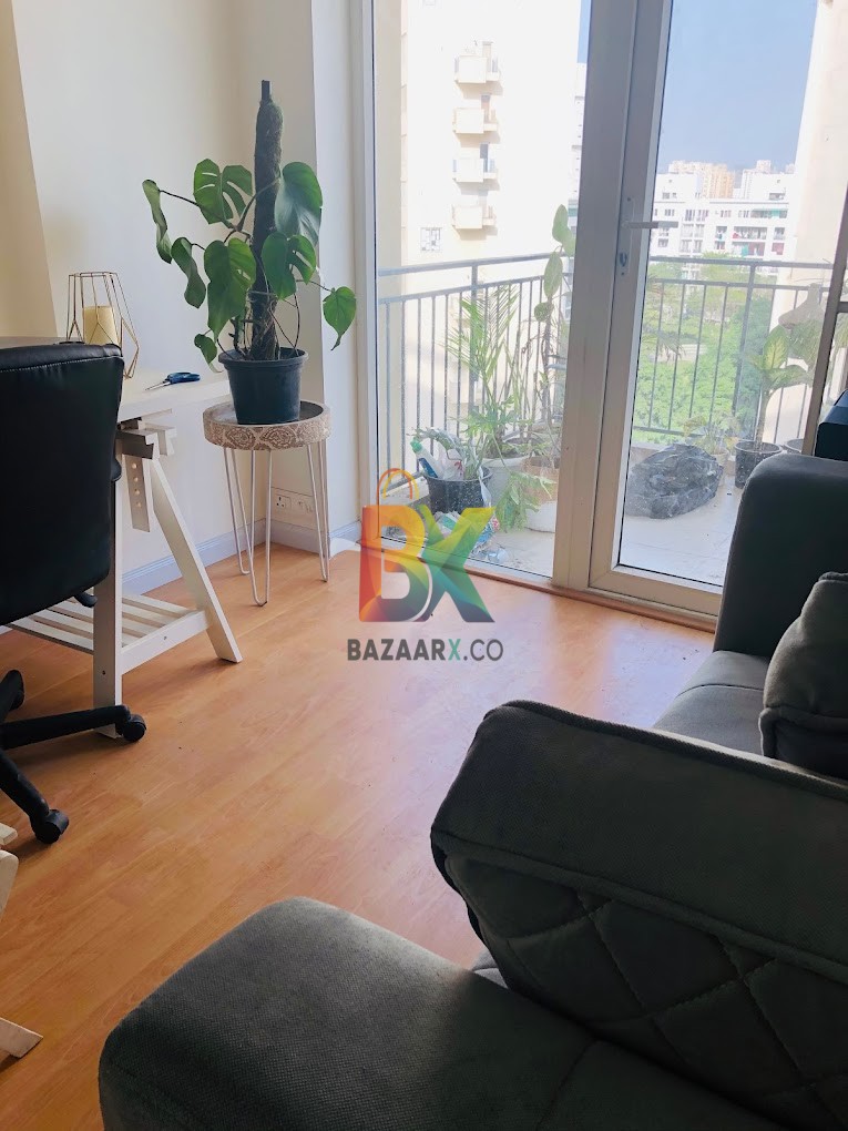 BZX Property