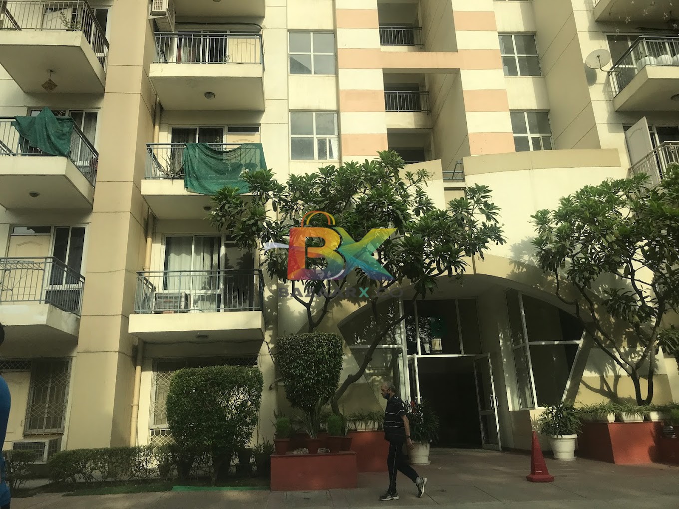 BZX Property