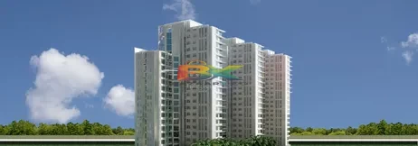 BZX Property