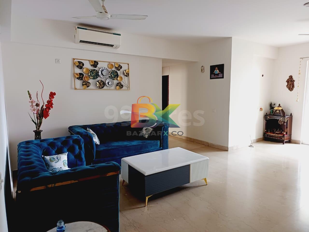 BZX Property