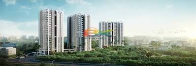 BZX Property