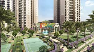 BZX Property