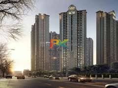 BZX Property