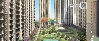 BZX Property
